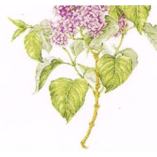 Branche de Lilas  588 lin  Thea Gouverneur