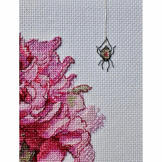 Pivoine A1008 Aine