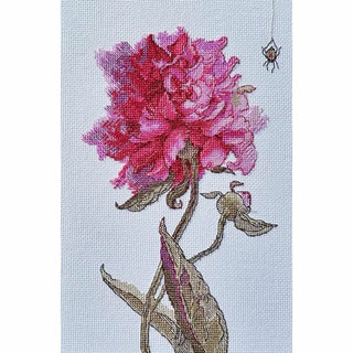 Pivoine A1008 Aine