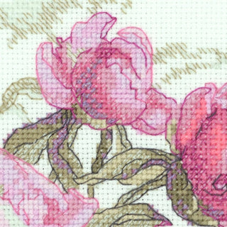 Pivoines chuchotent A1010 Aine