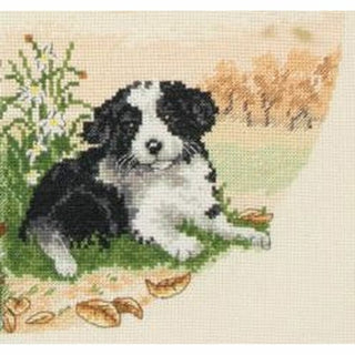 Chiots et saisons - PCE890 - Anchor