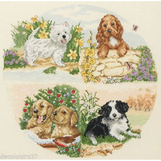 Chiots et saisons - PCE890 - Anchor