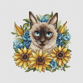 Chat Siamois avec tournesols P020 Ava