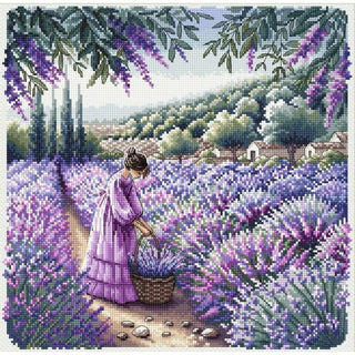 Parfum de Provence P031 Ava