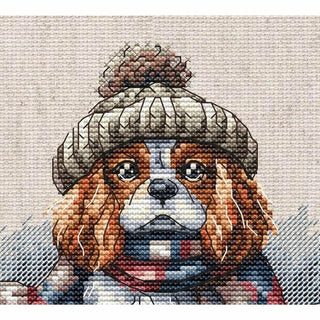 Cavalier King Charles P037 Ava