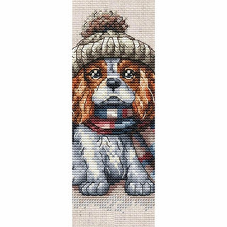 Cavalier King Charles P037 Ava