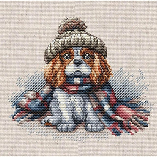 Cavalier King Charles P037 Ava