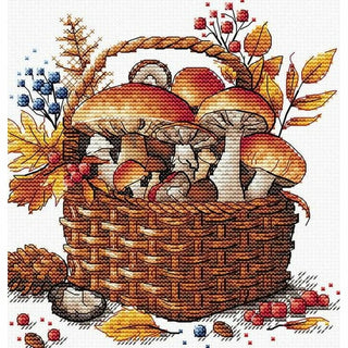 Panier de champignons P097 Ava