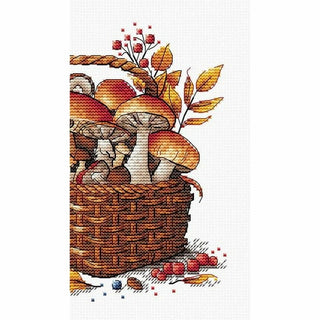 Panier de champignons P097 Ava