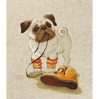 Pug adore la Chaussure B1122 LUCA-S