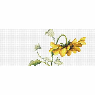 Marguerites jaune BM3003 LUCA-S