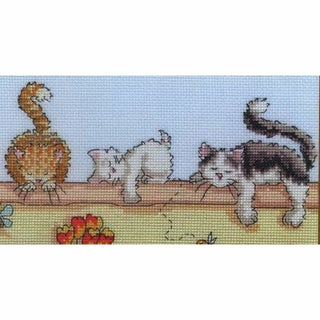 Chats paresseux XGR1 Bothy Threads