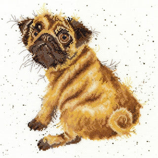 Chien Carlin XHD11 Bothy Threads