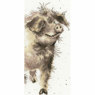 Cochon XHD35 Bothy Threads
