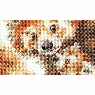 Panda roux XHD89 Bothy Threads