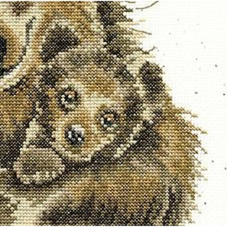 Câlins d ours XHD95 Bothy Threads