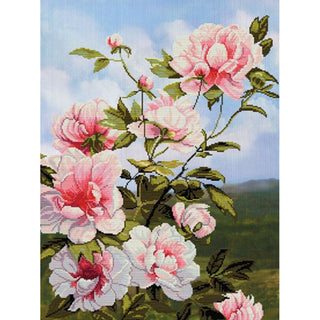 NOVA SLOBODA CB1137 PIVOINES