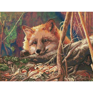 Renard CD3081 NOVA SLOBODA