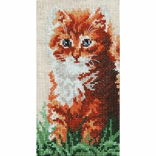 Chaton dans l herbe - 58-05 - Chudo Igla