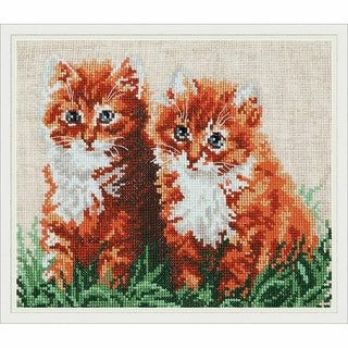 Chaton dans l herbe - 58-05 - Chudo Igla