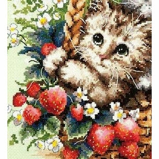 Beaux chatons 58-12 Chudo igla