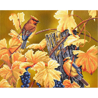 OISEAUX DANS LA VIGNE CP4021