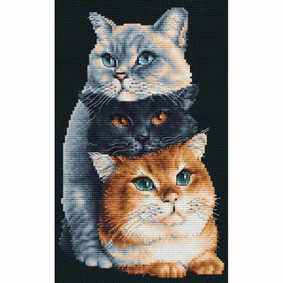 Les trois chats DSB015 Aida noir Dutch Stitch Brothers