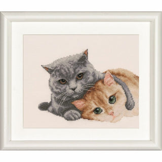 Amis Chats DSB026 Aida Dutch Stitch Brothers
