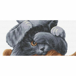 Voir entendre parler DSB027 Aida Dutch Stitch Brothers