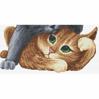 Voir entendre parler DSB027 Aida Dutch Stitch Brothers