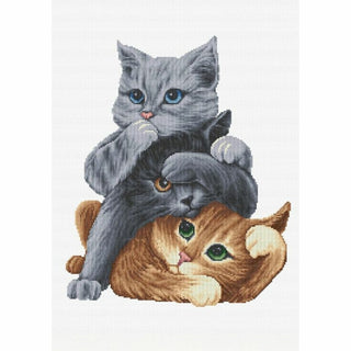Voir entendre parler DSB027 Aida Dutch Stitch Brothers