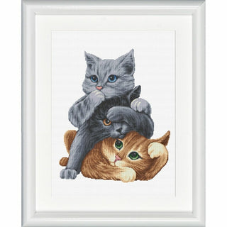 Voir entendre parler DSB027 Aida Dutch Stitch Brothers