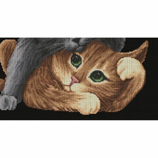 Voir entendre parler DSB029 Aida noir Dutch Stitch Brothers