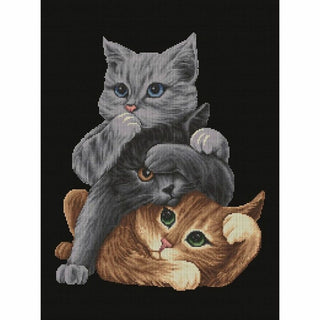 Voir entendre parler DSB029 Aida noir Dutch Stitch Brothers