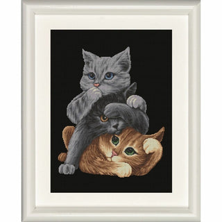 Voir entendre parler DSB029 Aida noir Dutch Stitch Brothers