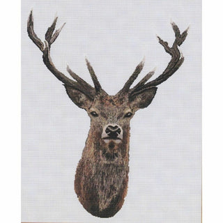 Cerf élaphe DSB050 Dutch Stitch Brothers