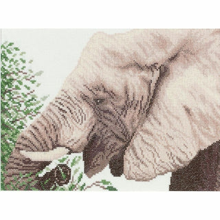 Éléphant 0008324 Lanarte