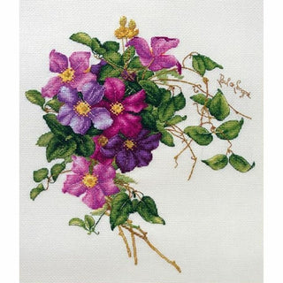 Fleurs de Clématite A001 LanSvit