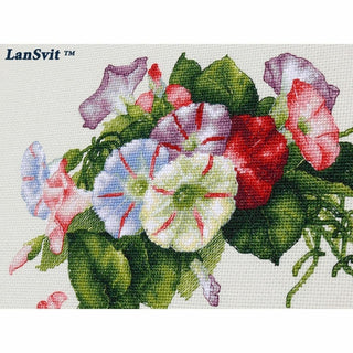 Liserons A002 LanSvit