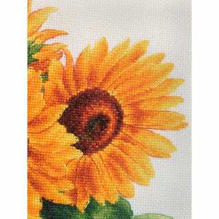 Tournesols A009 LanSvit
