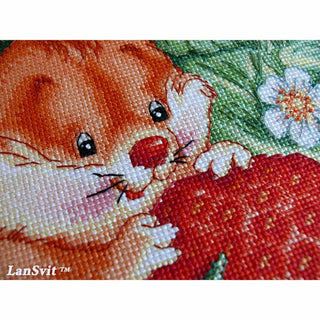 Gourmandise D001 LanSvit