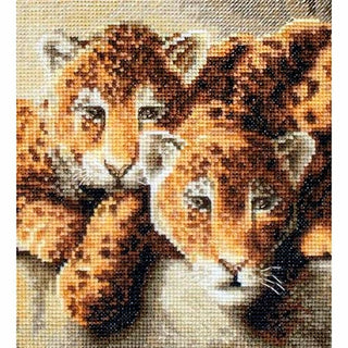 Léopards 910 Letistitch