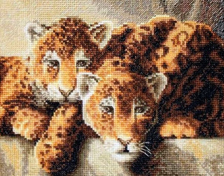 Léopards 910 Letistitch