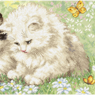 Jeu d été 954 Letistitch