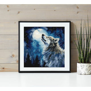 Neige de minuit 9923 Letistitch