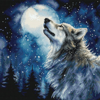 Neige de minuit 9923 Letistitch