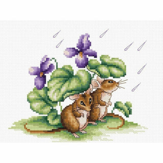 Souris sous la pluie B1041 Luca-S