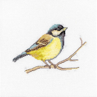 Oiseau Mésange charbonnière B1155 Luca-S