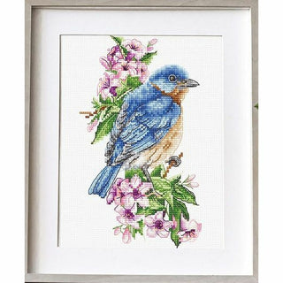 Oiseau bleu sur la branche B1198 Luca-S