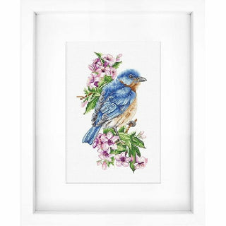 Oiseau bleu sur la branche B1198 Luca-S